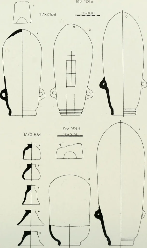An illustration from Varia africana. I-5, 1917, leaf 108
