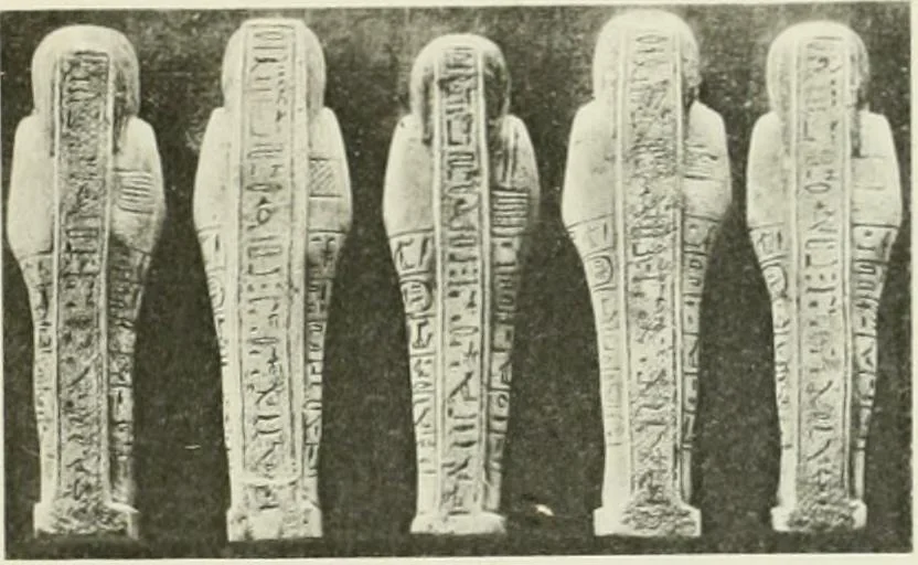 An illustration from Varia africana. I-5, 1917, leaf 114