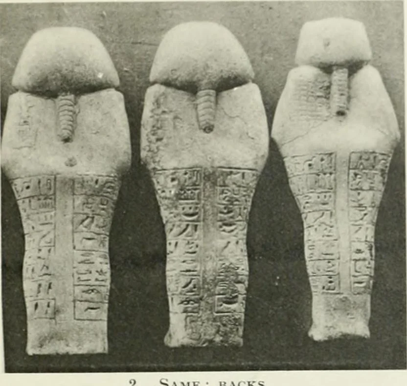 An illustration from Varia africana. I-5, 1917, leaf 116