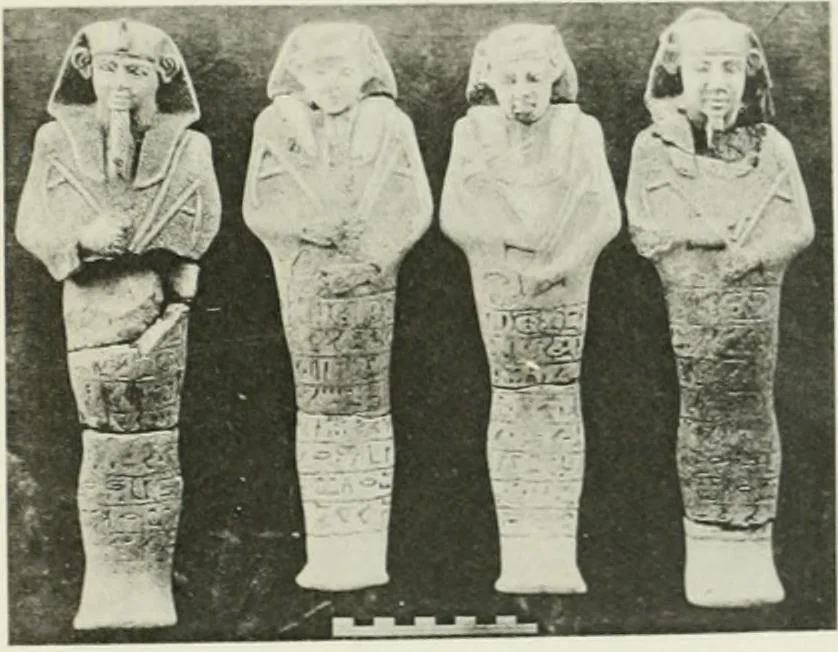 An illustration from Varia africana. I-5, 1917, leaf 116
