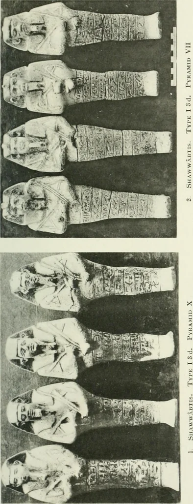 An illustration from Varia africana. I-5, 1917, leaf 118