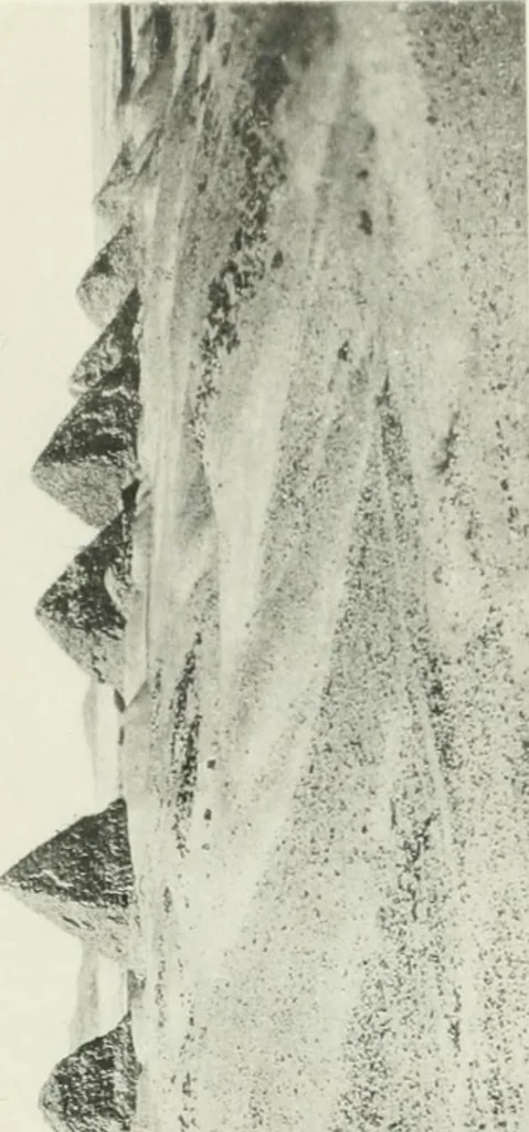 An illustration from Varia africana. I-5, 1917, leaf 134
