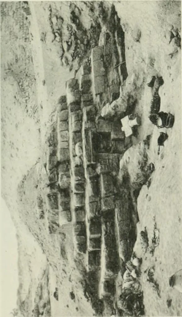 An illustration from Varia africana. I-5, 1917, leaf 140
