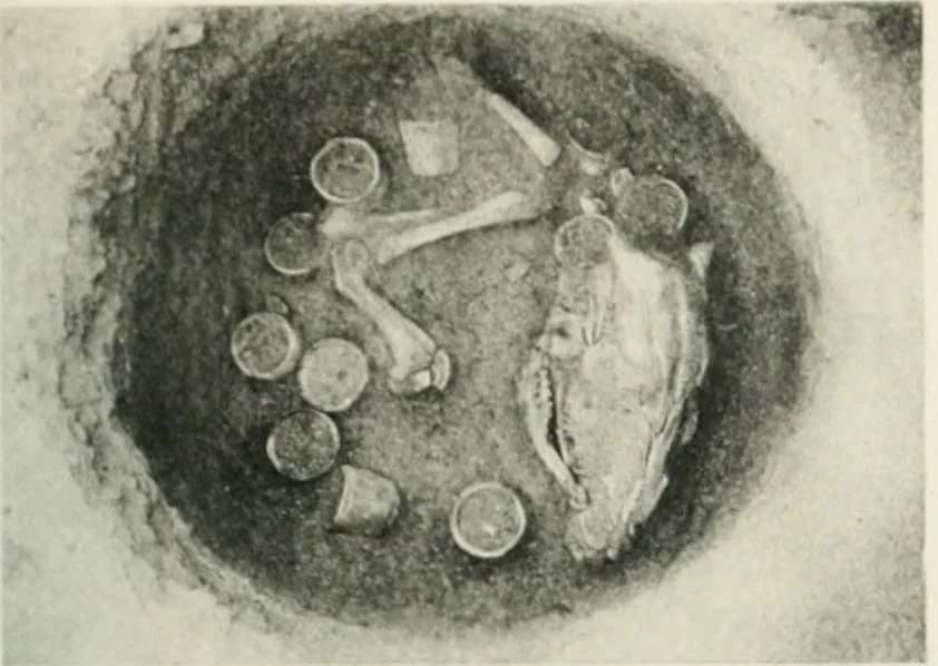 An illustration from Varia africana. I-5, 1917, leaf 144
