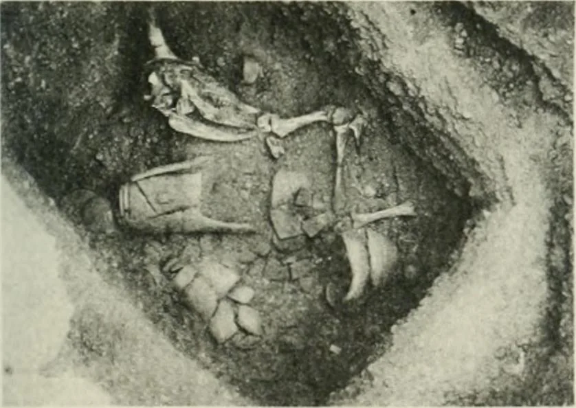 An illustration from Varia africana. I-5, 1917, leaf 144