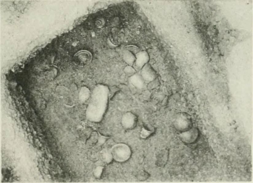 An illustration from Varia africana. I-5, 1917, leaf 144