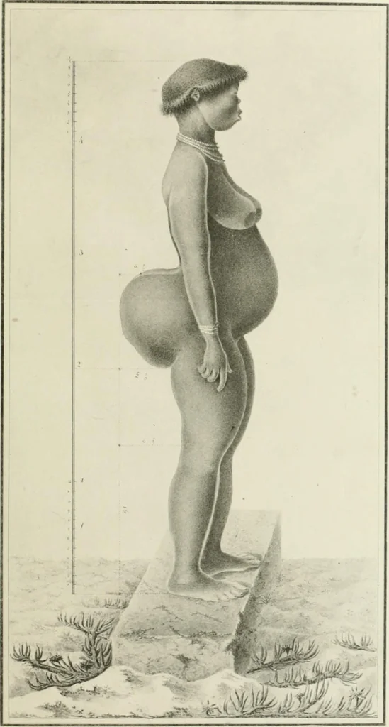 An illustration from Varia africana. I-5, 1917, leaf 184