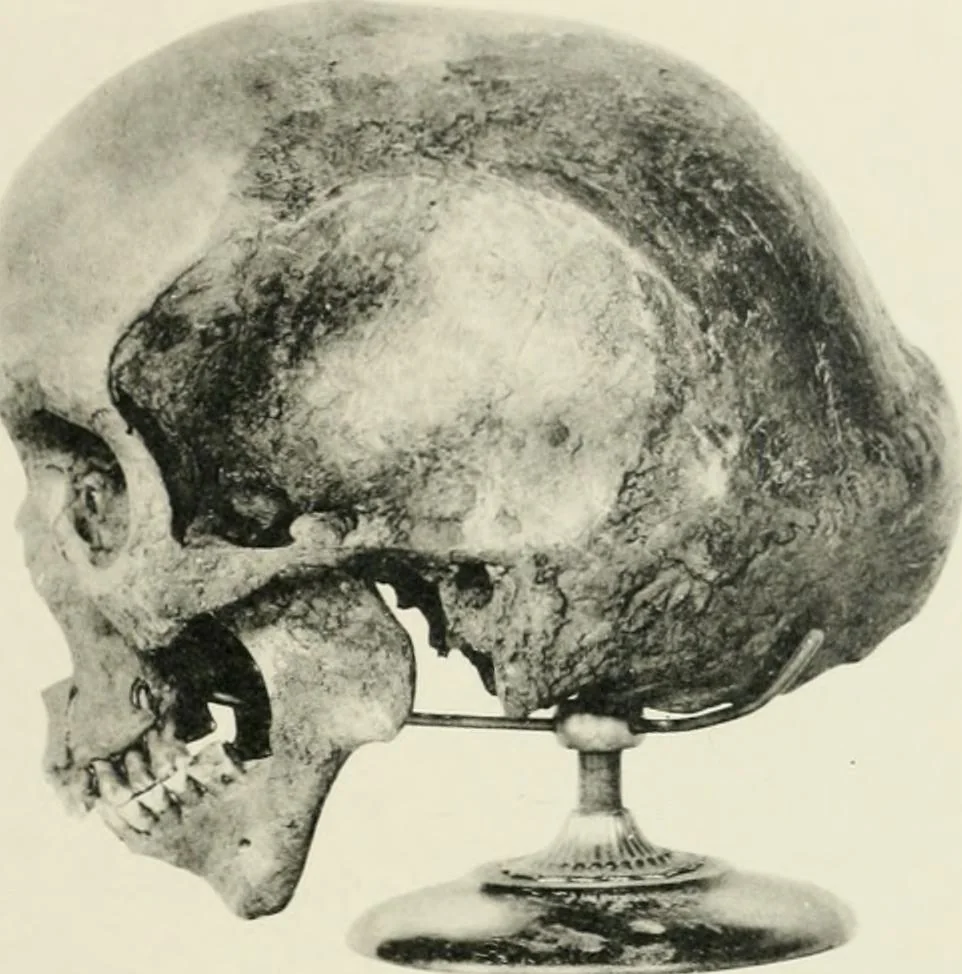 An illustration from Varia africana. I-5, 1917, leaf 196