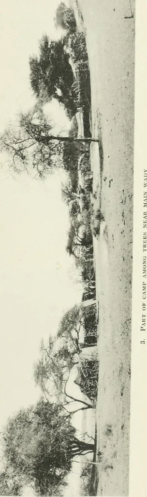 An illustration from Varia africana. I-5, 1917, leaf 284