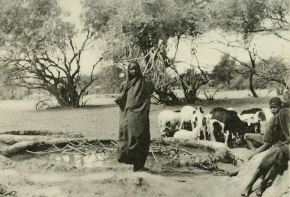 An illustration from Varia africana. I-5, 1917, leaf 286