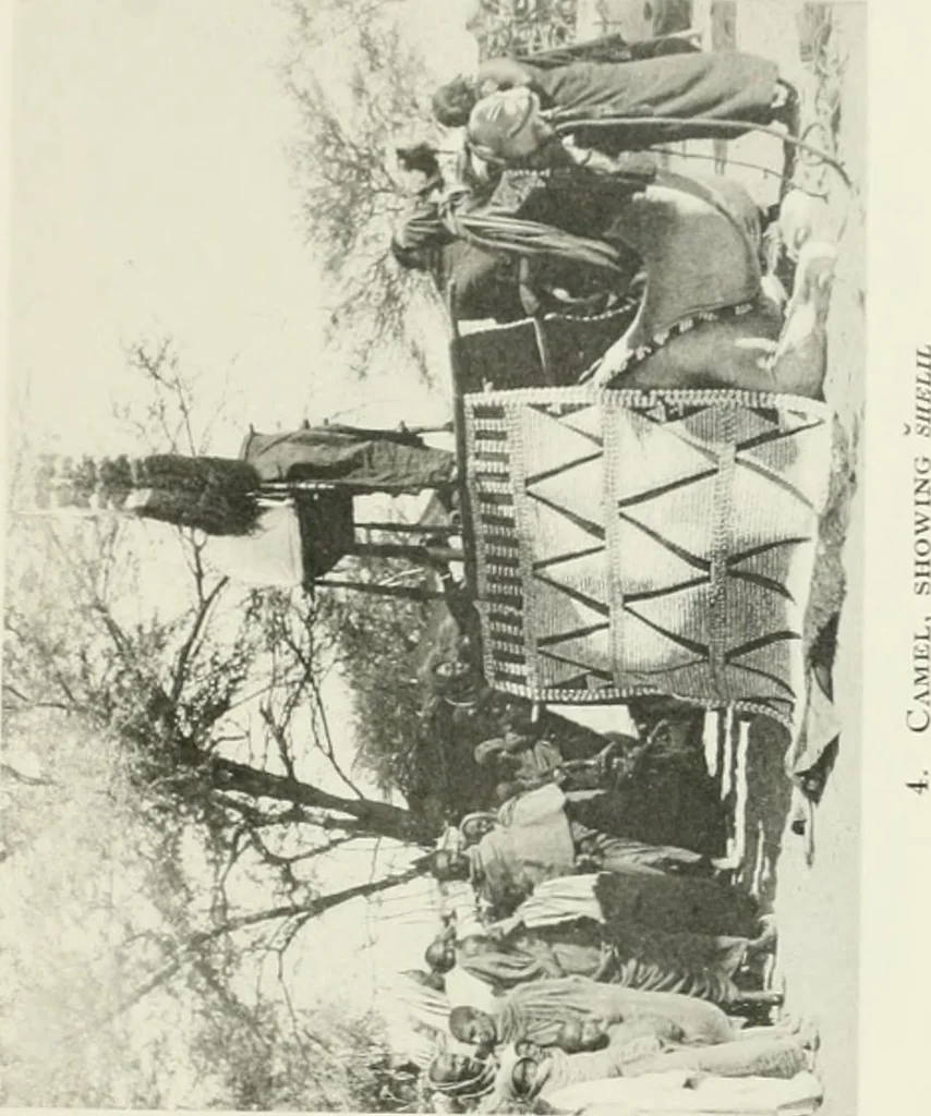 An illustration from Varia africana. I-5, 1917, leaf 288