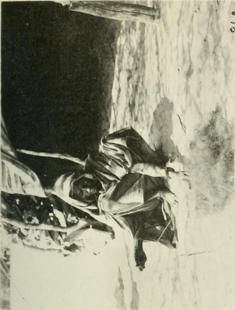 An illustration from Varia africana. I-5, 1917, leaf 290