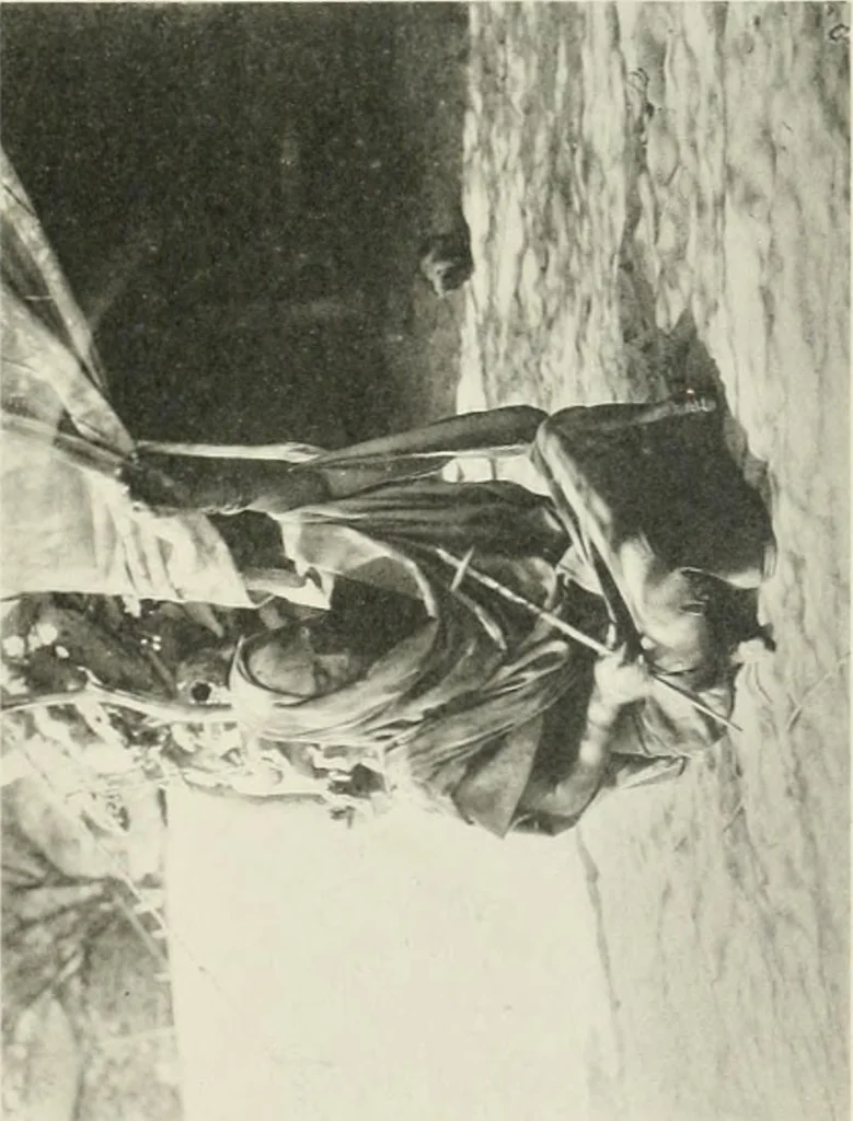 An illustration from Varia africana. I-5, 1917, leaf 290