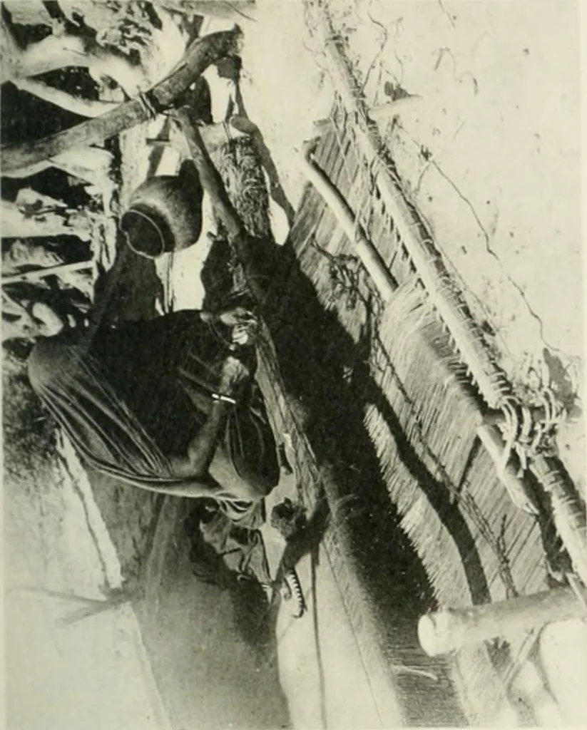 An illustration from Varia africana. I-5, 1917, leaf 292