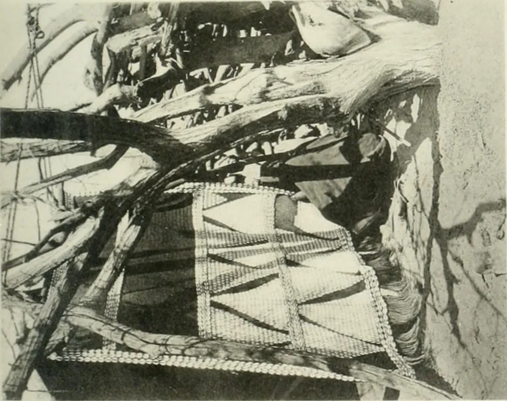 An illustration from Varia africana. I-5, 1917, leaf 292