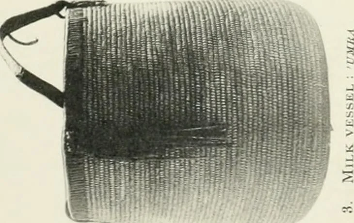 An illustration from Varia africana. I-5, 1917, leaf 292