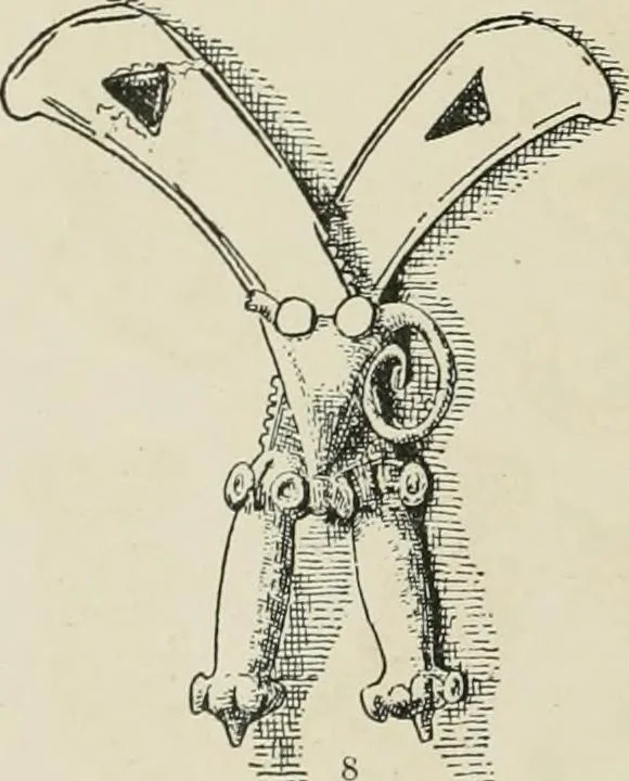 An illustration from Varia africana. I-5, 1917, leaf 299