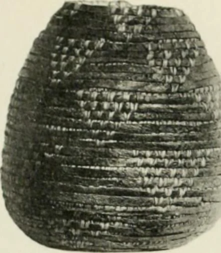 An illustration from Varia africana. I-5, 1917, leaf 304
