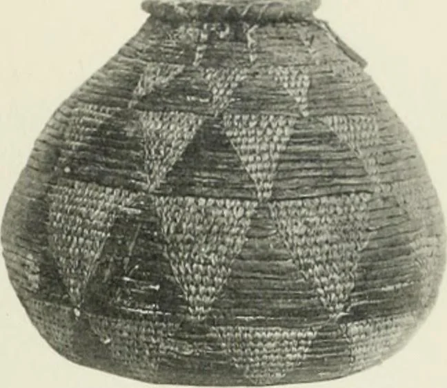 An illustration from Varia africana. I-5, 1917, leaf 304