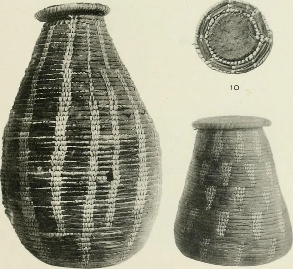 An illustration from Varia africana. I-5, 1917, leaf 304
