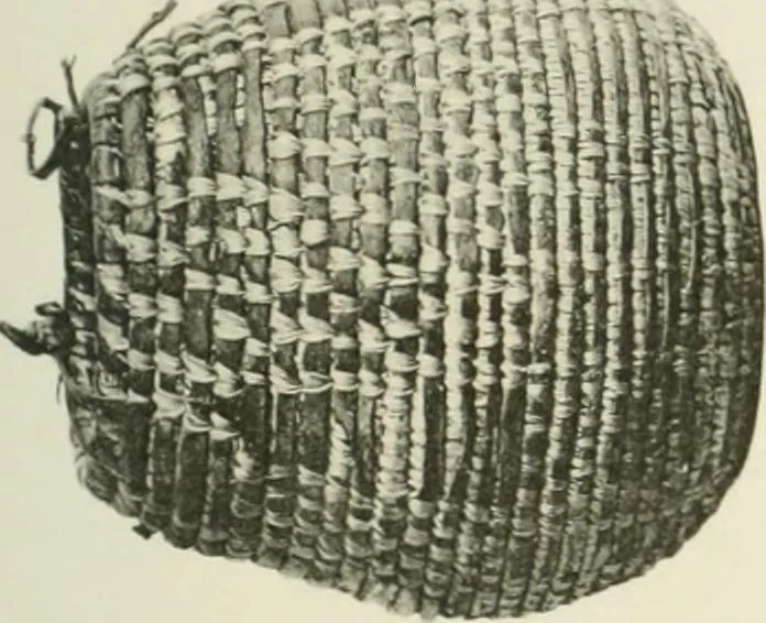 An illustration from Varia africana. I-5, 1917, leaf 306