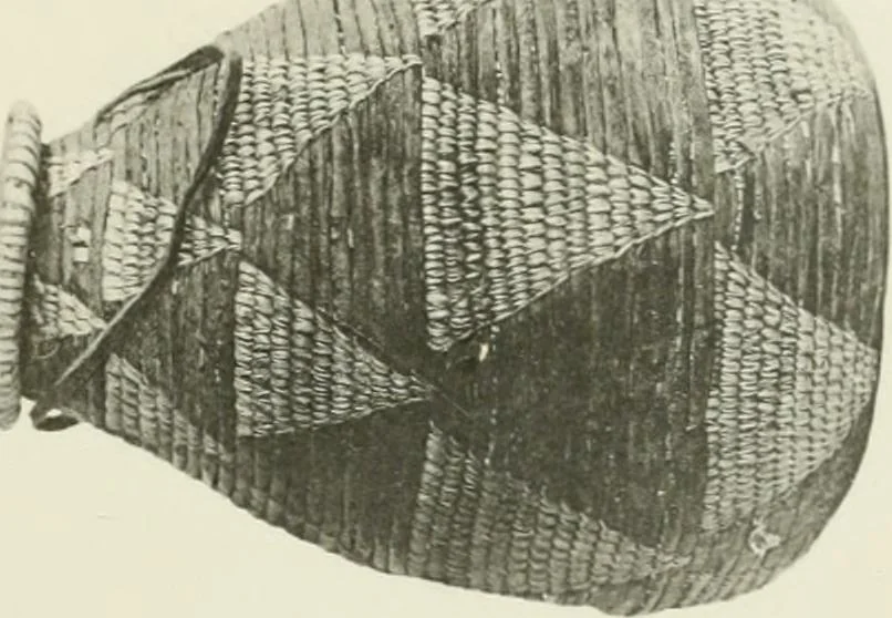 An illustration from Varia africana. I-5, 1917, leaf 306