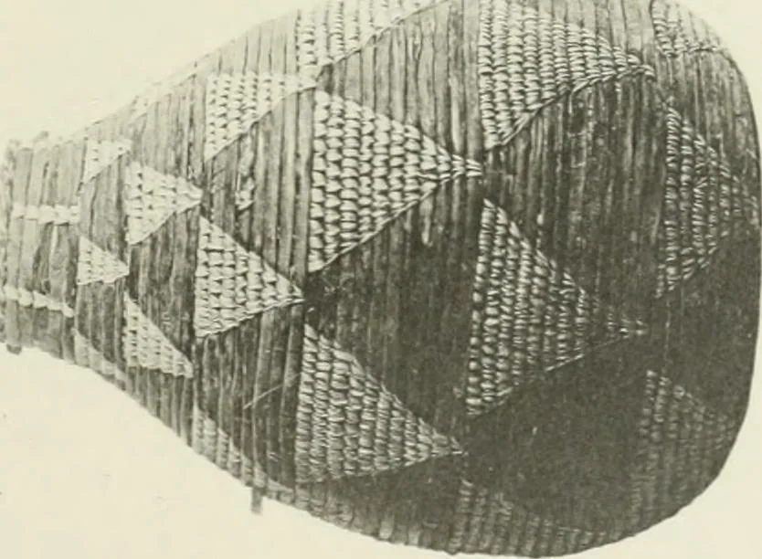 An illustration from Varia africana. I-5, 1917, leaf 306