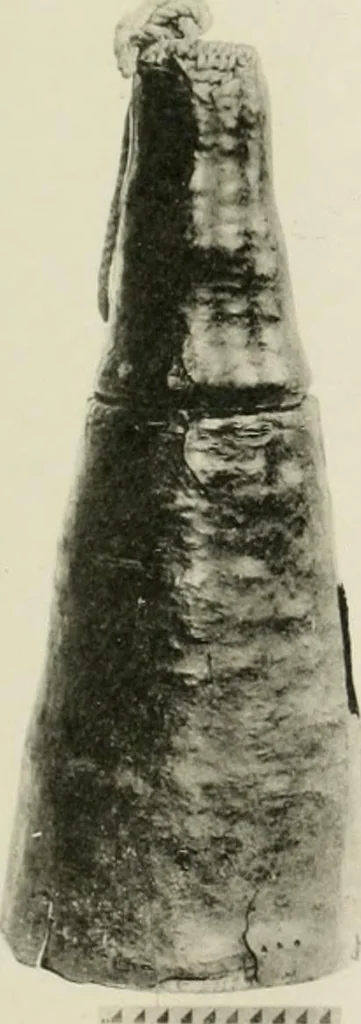 An illustration from Varia africana. I-5, 1917, leaf 308