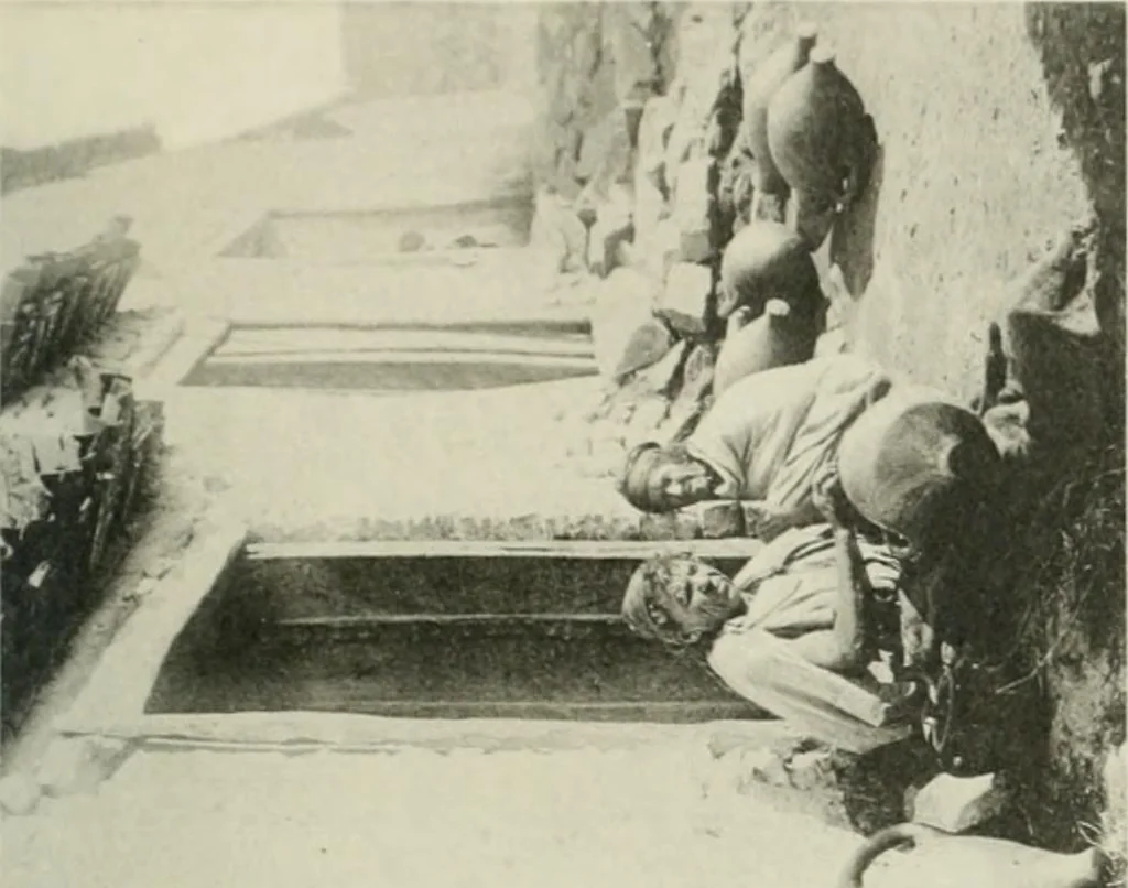 An illustration from Varia africana. I-5, 1917, leaf 444