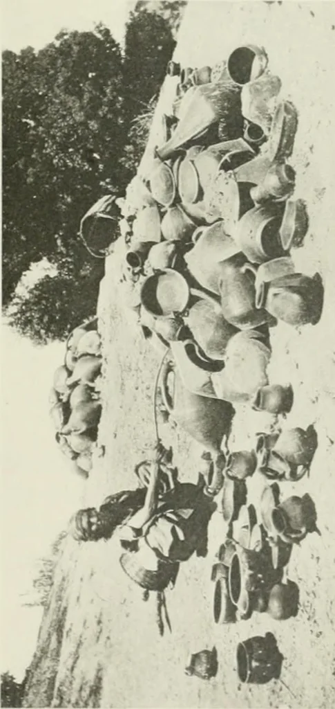 An illustration from Varia africana. I-5, 1917, leaf 444