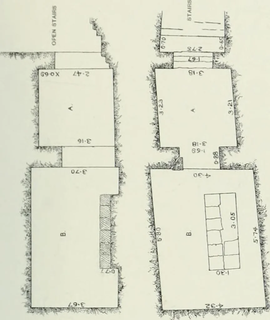 An illustration from Varia africana. I-5, 1917, leaf 96
