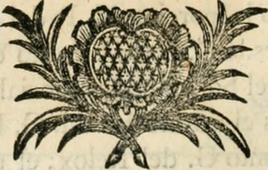 An illustration from Varia commensuracion para la escultura y arquitectura, 1795, leaf 105