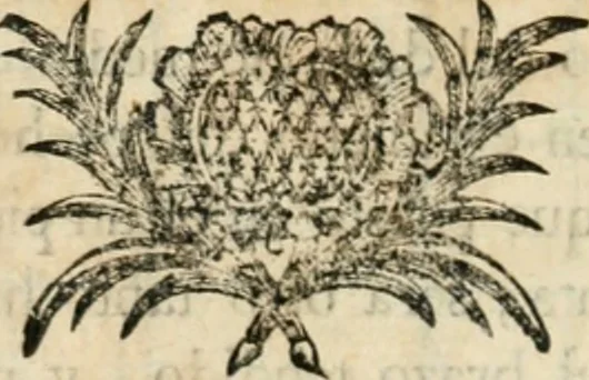 An illustration from Varia commensuracion para la escultura y arquitectura, 1795, leaf 133
