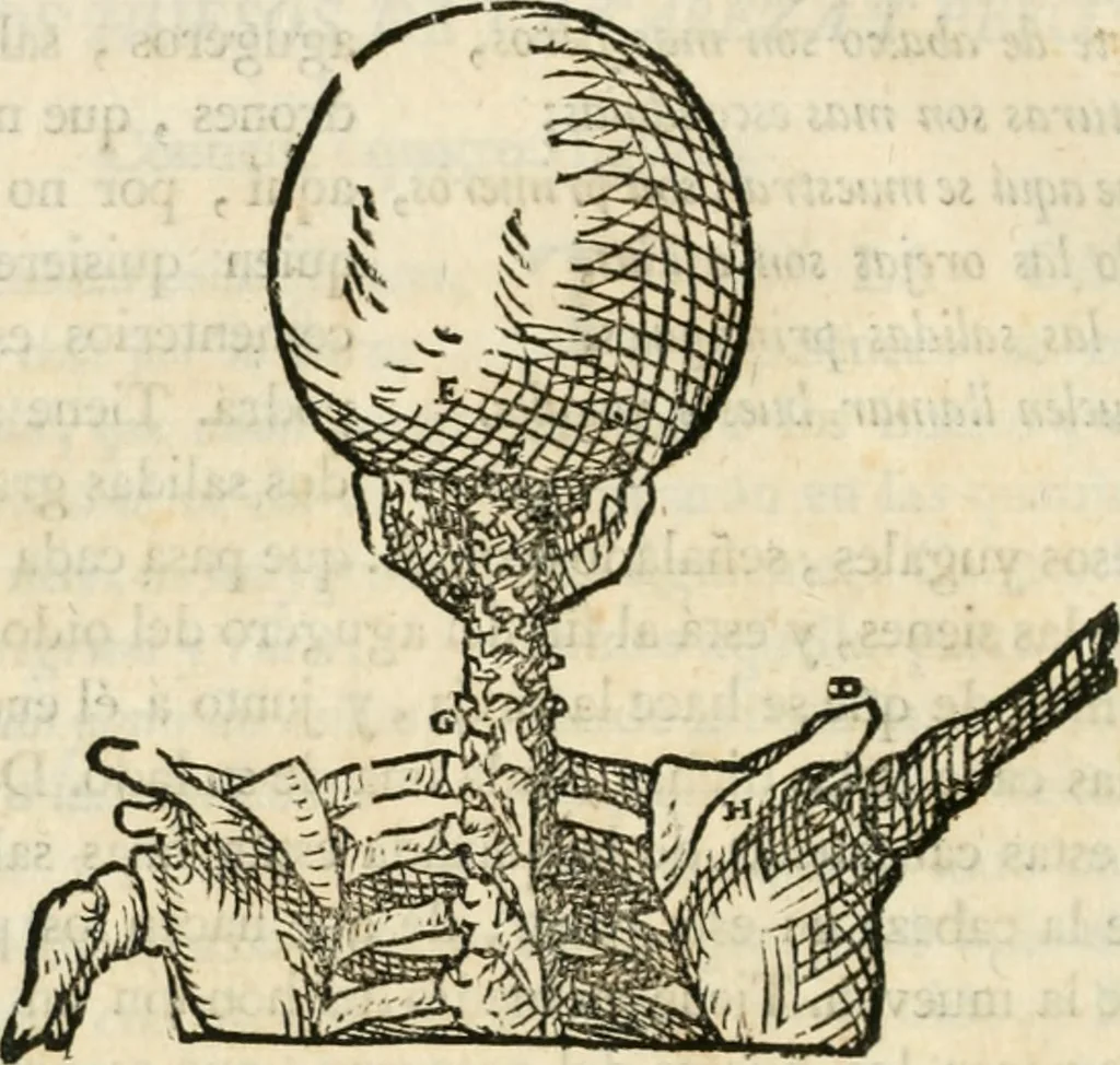 An illustration from Varia commensuracion para la escultura y arquitectura, 1795, leaf 139