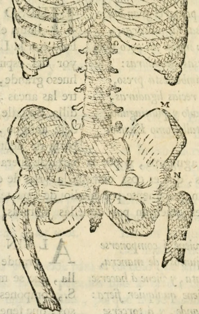 An illustration from Varia commensuracion para la escultura y arquitectura, 1795, leaf 143