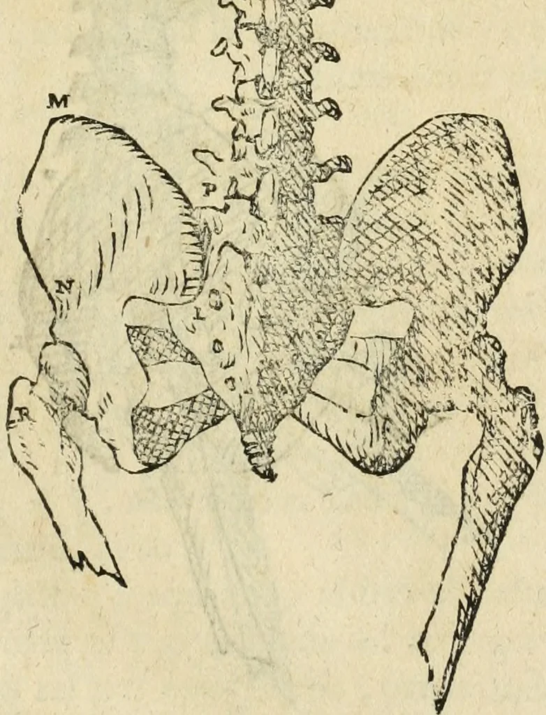 An illustration from Varia commensuracion para la escultura y arquitectura, 1795, leaf 144