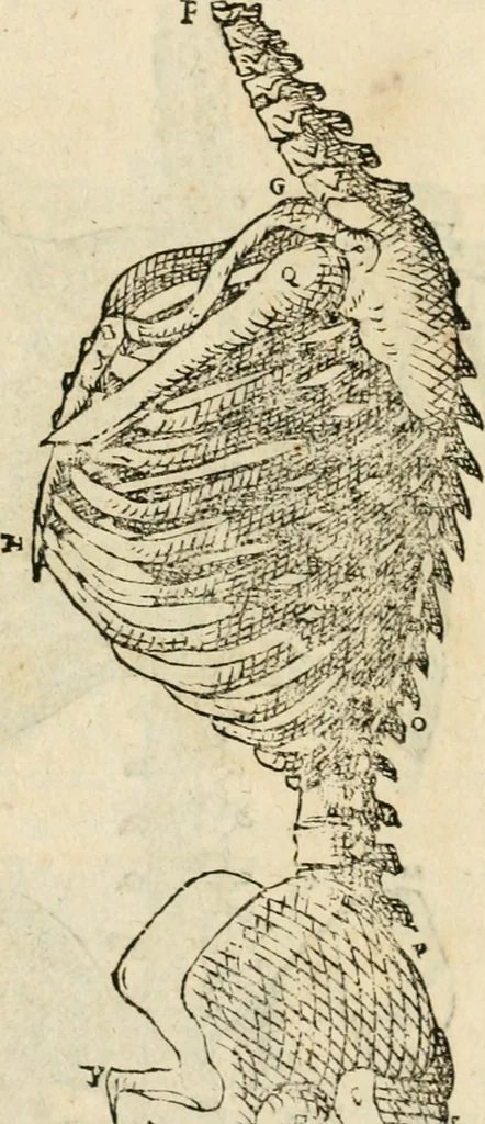 An illustration from Varia commensuracion para la escultura y arquitectura, 1795, leaf 145