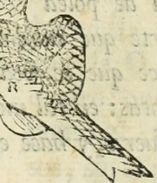 An illustration from Varia commensuracion para la escultura y arquitectura, 1795, leaf 146