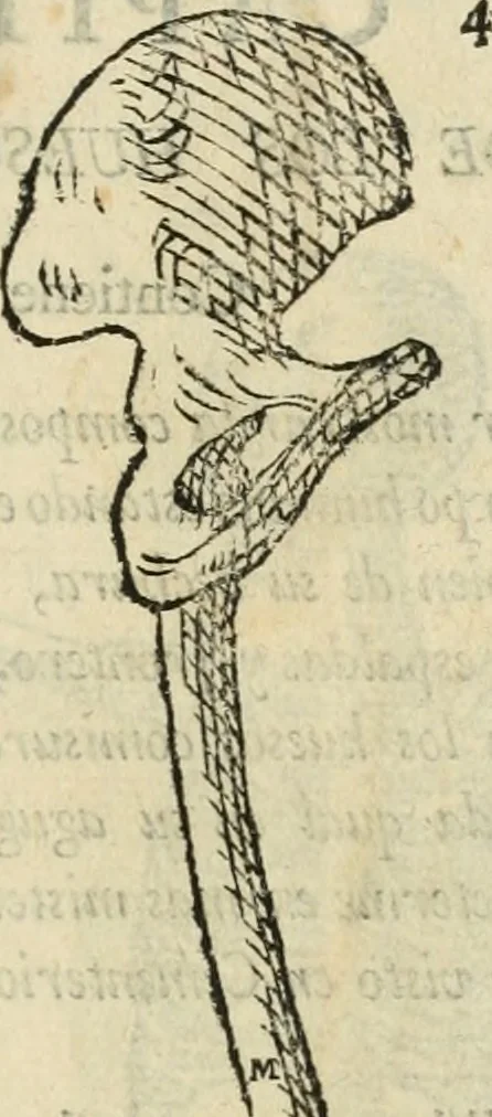 An illustration from Varia commensuracion para la escultura y arquitectura, 1795, leaf 154