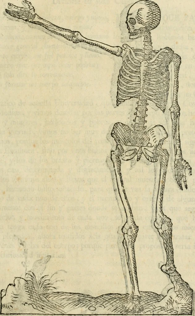 An illustration from Varia commensuracion para la escultura y arquitectura, 1795, leaf 156