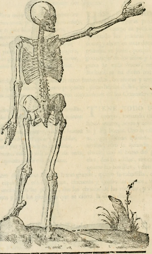An illustration from Varia commensuracion para la escultura y arquitectura, 1795, leaf 157