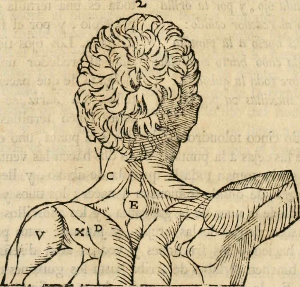 An illustration from Varia commensuracion para la escultura y arquitectura, 1795, leaf 161