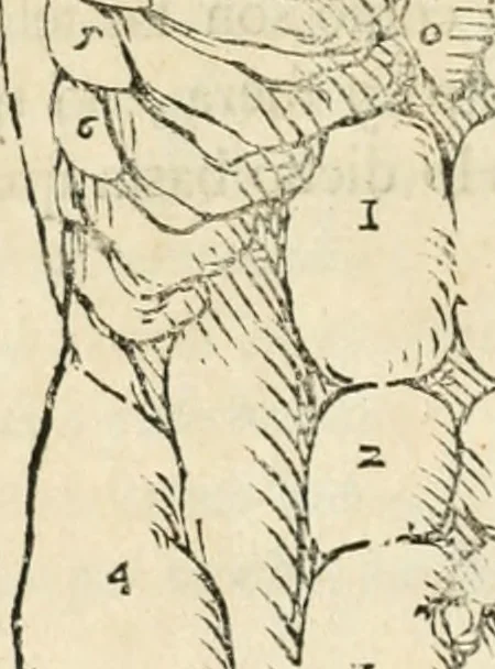 An illustration from Varia commensuracion para la escultura y arquitectura, 1795, leaf 167