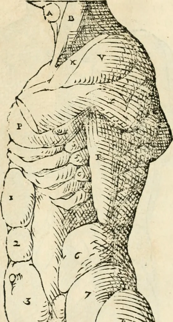 An illustration from Varia commensuracion para la escultura y arquitectura, 1795, leaf 169