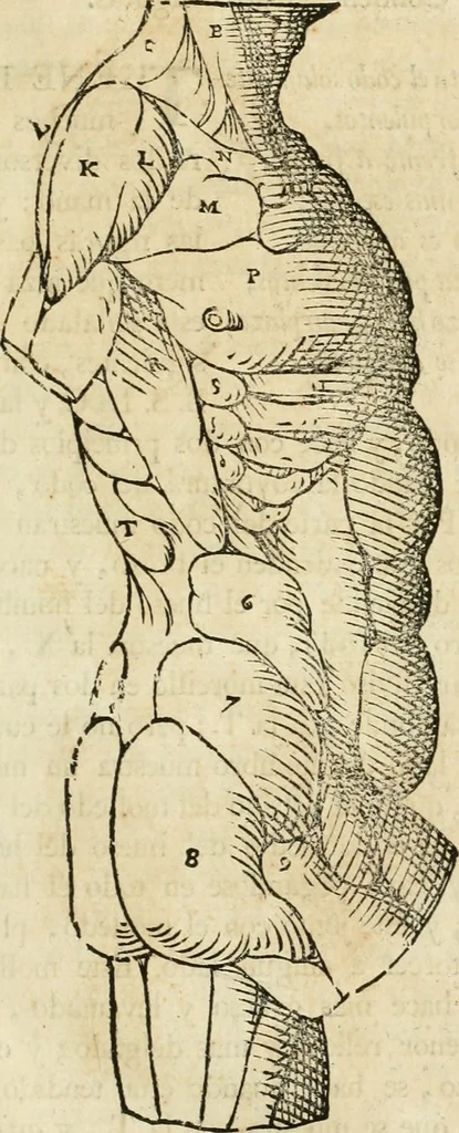 An illustration from Varia commensuracion para la escultura y arquitectura, 1795, leaf 170