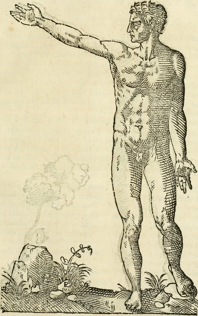 An illustration from Varia commensuracion para la escultura y arquitectura, 1795, leaf 182