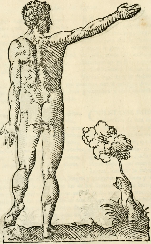 An illustration from Varia commensuracion para la escultura y arquitectura, 1795, leaf 183