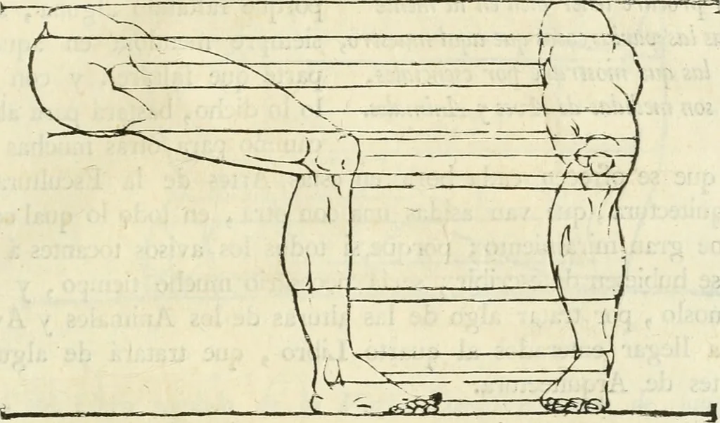 An illustration from Varia commensuracion para la escultura y arquitectura, 1795, leaf 202
