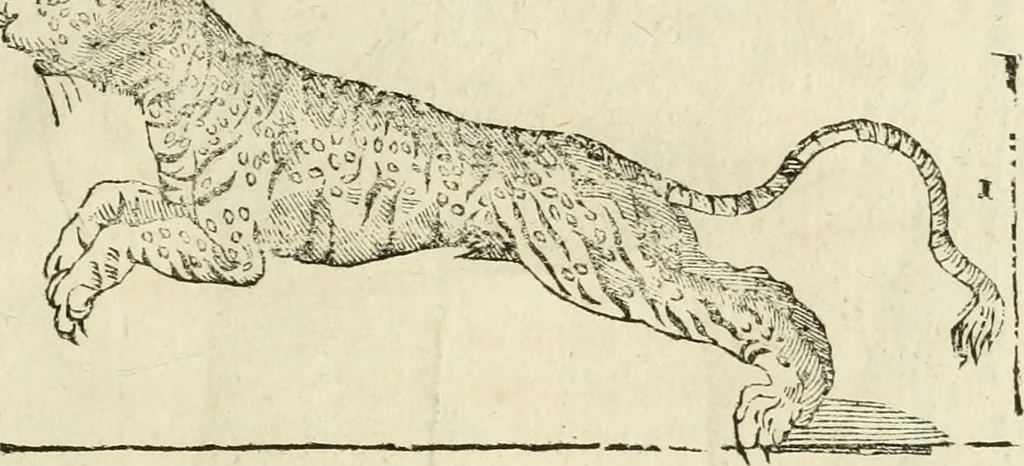 An illustration from Varia commensuracion para la escultura y arquitectura, 1795, leaf 212