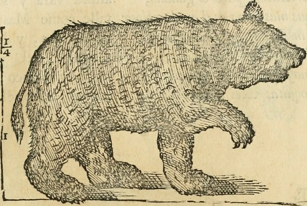 An illustration from Varia commensuracion para la escultura y arquitectura, 1795, leaf 214